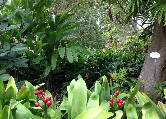 Casa Anchieta * La Orotava